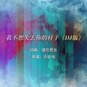 我不想失去你的样子 (DJ版)