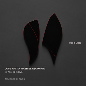 Space Groove (Tolis Q Remix)