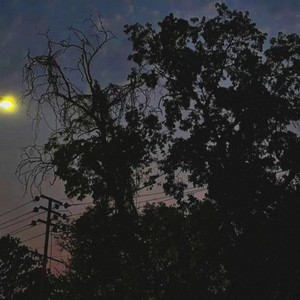 you're not real (Slowed & Reverb)