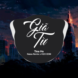 Giã Từ (EDM)