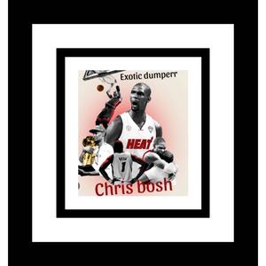 Chris bosh (Explicit)