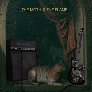 Moth Into Flame