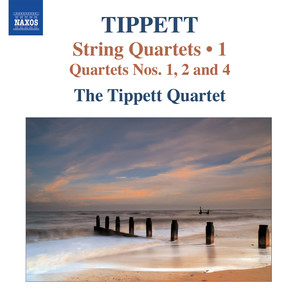 String Quartet No. 4 - IV. Very fast