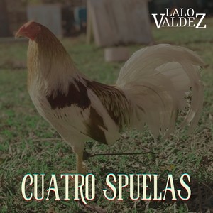 Cuatro Spuelas