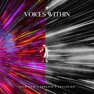 Voices Within (feat. Mian Zain & Seclusion) (Explicit)