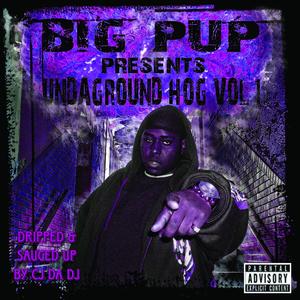 Undaground Hog, Vol. 1 (Dripped & Sauced Up) [Explicit]