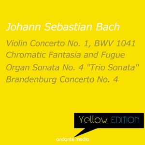 Violin Concerto No. 1 in A Minor, BWV 1041 - I. —