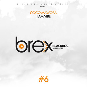 I am vibe (Brex Black Roc Expérience #6)