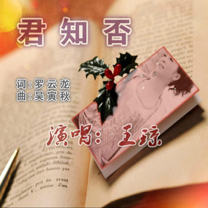 君知否 (伴奏)