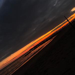 throwaway (Explicit)