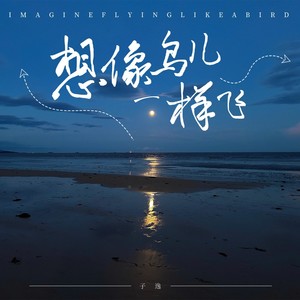 想像鸟儿一样飞 (伴奏)