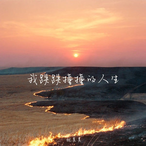 我跌跌撞撞的人生