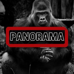 PANORAMA (Explicit)