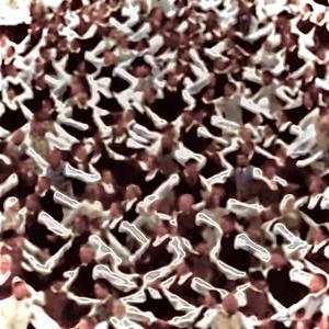 I see patterns (Explicit)