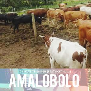 AMALOBOLO(feat. NOKUTHULA)