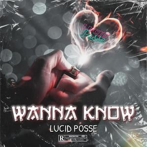 Wanna Know (Explicit)