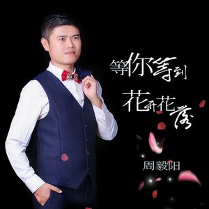 等你等到花开花落