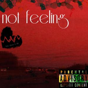 Not Feeling (feat. Lil Fire) (Explicit)