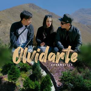 Voy a Olvidarte (feat. Rich naoh)