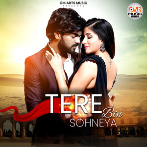 Tere Bin Sohneya (Explicit)