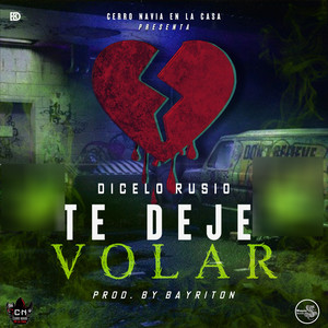Te Dejé Volar (Audio Oficial)