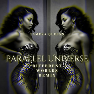 Parallel Universe (Different Worlds Remix)