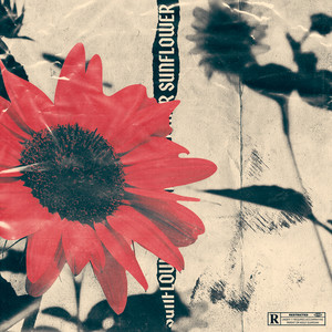 Sunflower (Original Version)封面