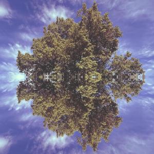 Apex (feat. Casual Decay)