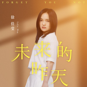 徐佳莹 - 未来的昨天