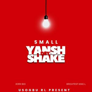 Small Yansh Dey Shake (feat. Brightest King L)