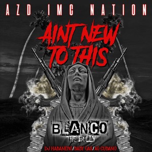 Aint New To This (Explicit)