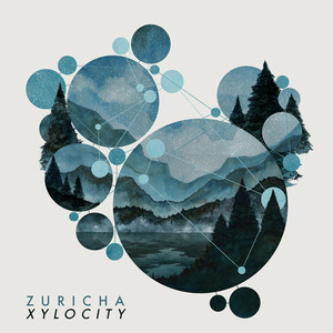 Xylocity