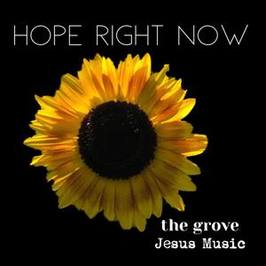 Hope Right Now (feat. Emily Ashby)