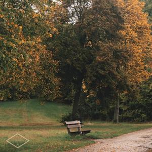 farewell, dear friend