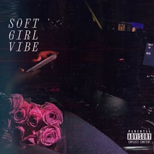 Soft Girl Vibe (Explicit)