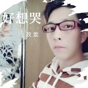 好想哭-DJ 王志 (Remix)