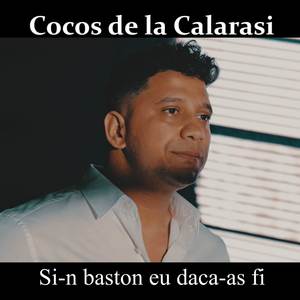 Si-n baston eu daca-as fi