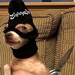 MUTT (JR Remix Radio Edit)