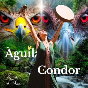 Àguila Condor
