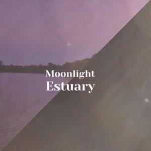 Moonlight Estuary