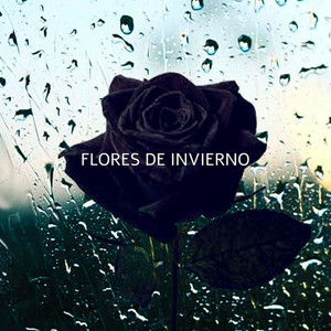 Flores de invierno