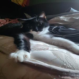 PARADISE (feat. Gray Kyd) (Explicit)