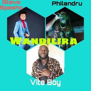 Wandilira (feat. Vite Boy & Steve Spesho) (Radio Edit)