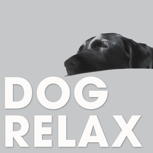 Dog Relax (The Classic Sunset Chillout Session Ambient Lounge)