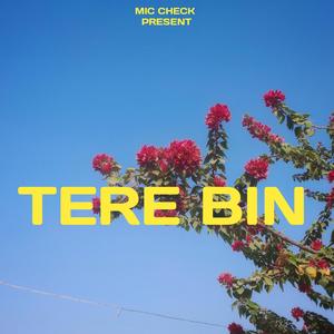 TERE BIN