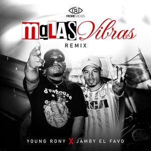 Malas Vibras (feat. Jamby El Favo) (Remix)