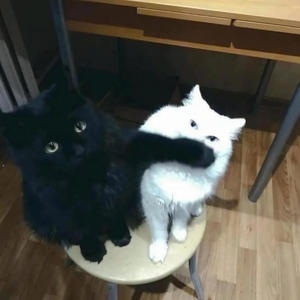 stranger things than me (feat. IanPlug & ICYTWAT) (Explicit)