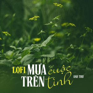 Mưa Trên Cuộc Tình (Lofi Mix)
