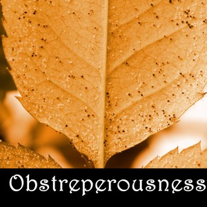 Obstreperousness