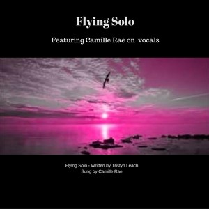 Flying Solo (feat. Camille Rae)